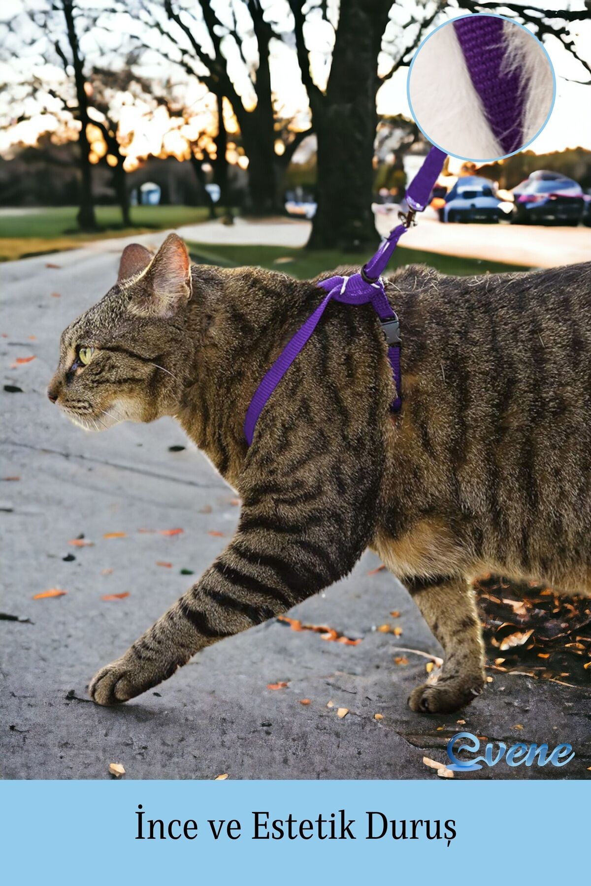 Kedi Tasması Kedi Göğüs Bel Ayarlanabilir Dayanıklı Sağlam Tasma 1 cm İnce Kolon