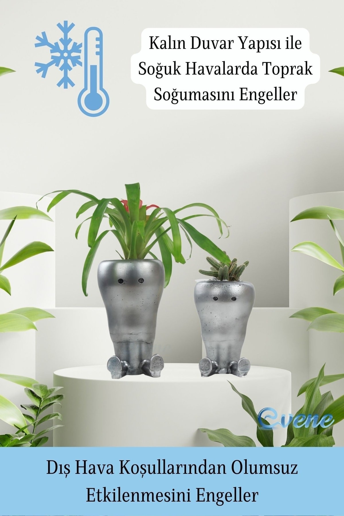 Saksı Çiçek Kaktüs Saksısı Lüx 12 Cm Gümüş Eskitme Varak Boyalı Havuç Desen Saksı Çiçeklik