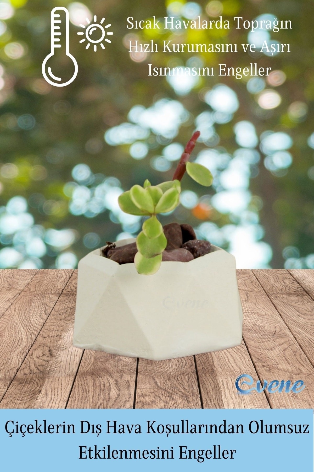 Mini Çiçek Saksı Küçük Sukulent Beyaz Kaktüs Saksısı 3'lü Set Mini Poly 2 Model