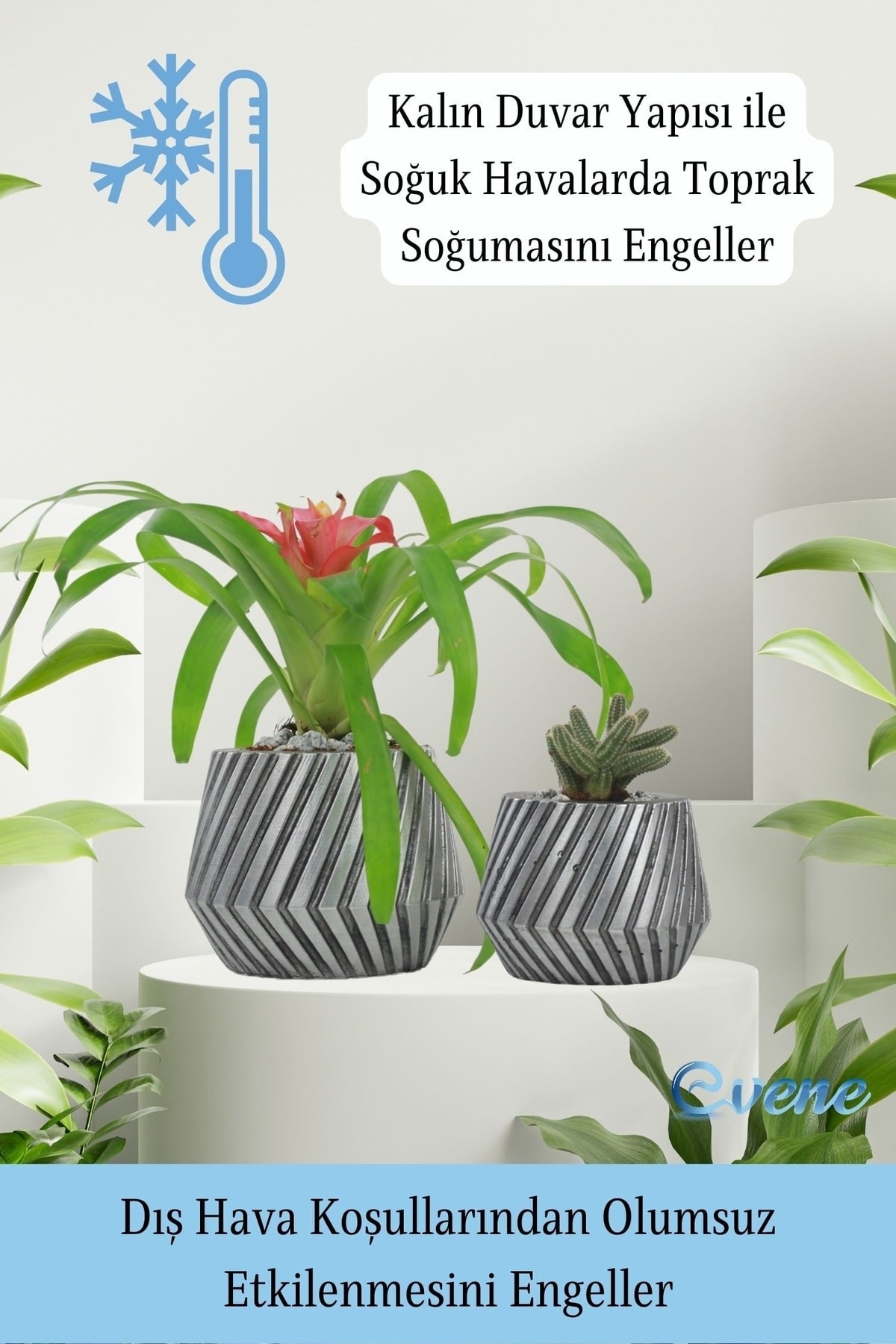 Saksı Çiçek Kaktüs Saksısı Lüx 15 Cm Gümüş Eskitme Varak Boyalı Dişli Desen Saksı Çiçeklik