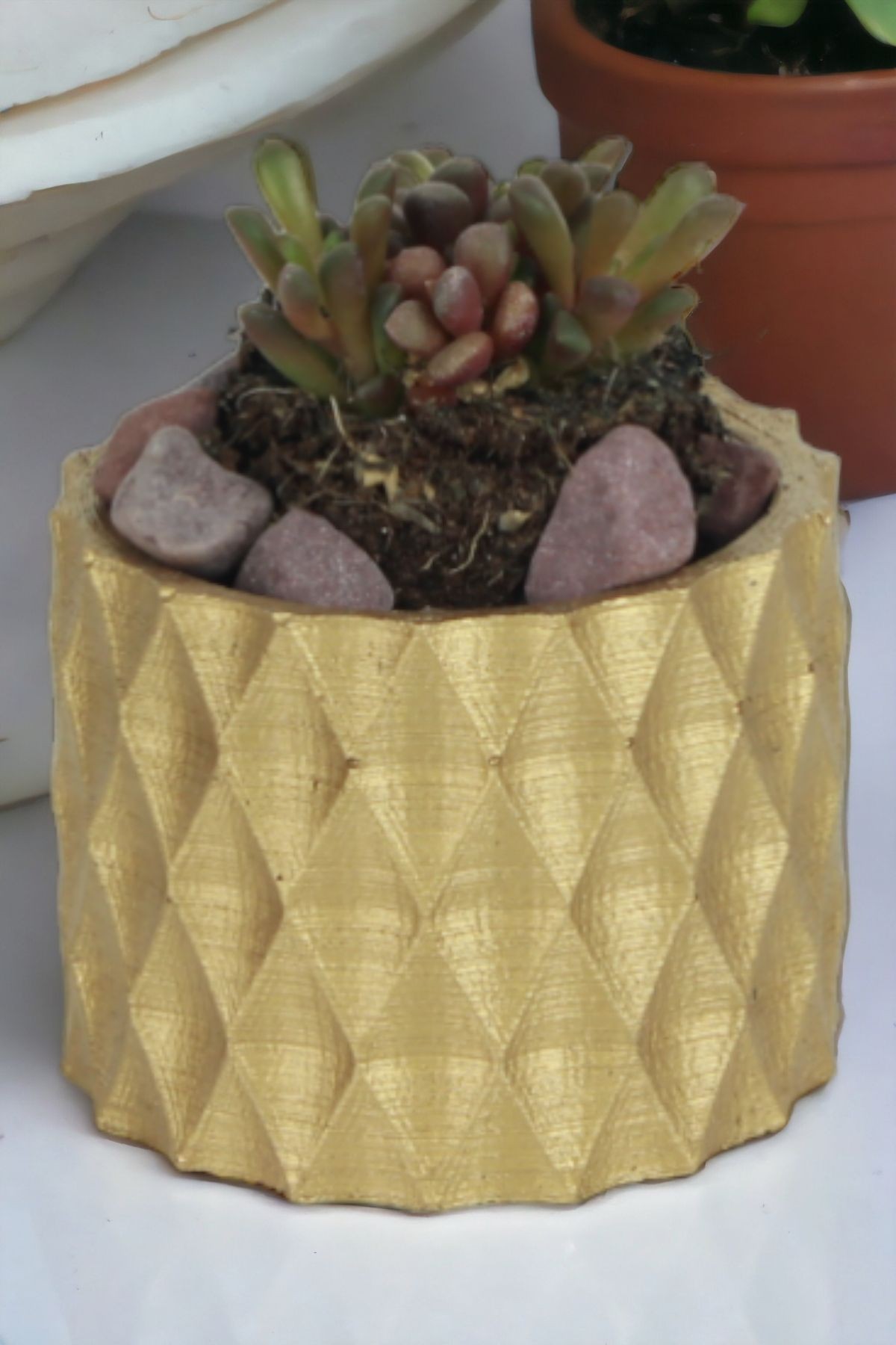 Altın thumbnail image