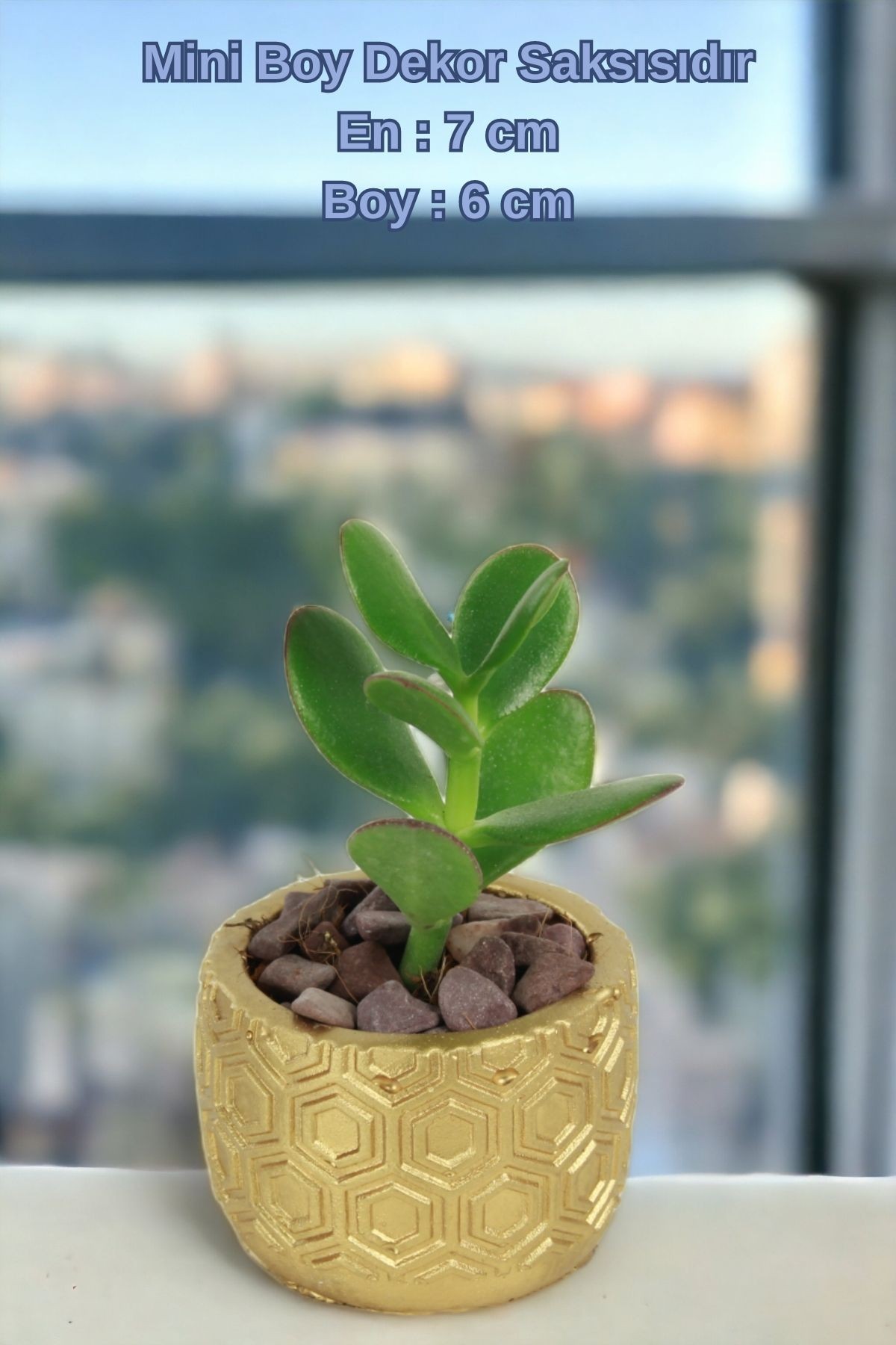 El Yapımı Saksı Seti Altın Dekoratif 6 Adet Saksı Küçük Boy Model 2