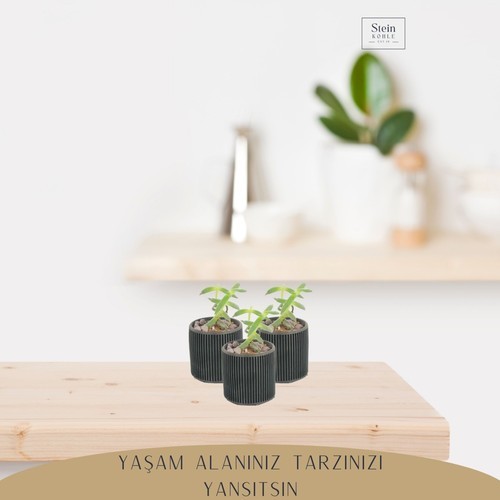 Stein Kohle Dekoratif Saksı Minik Kaktüs Saksısı Düz Ince Çizgili Model
