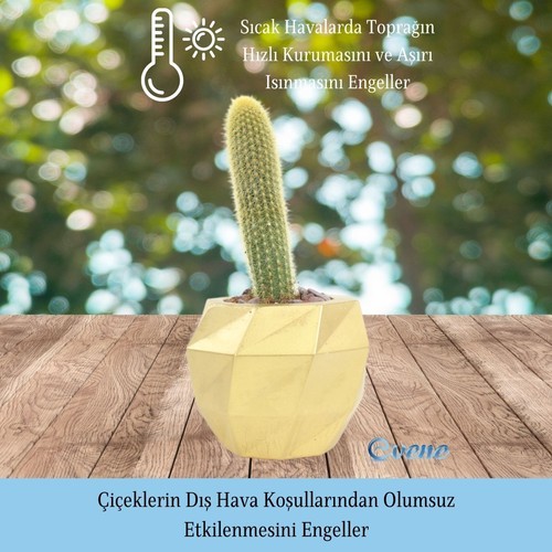 Evene Saksı Çiçek Kaktüs Saksısı Lüx 15 cm Boyalı Burgulu Desen Saksı 2li Set Çiçeklik