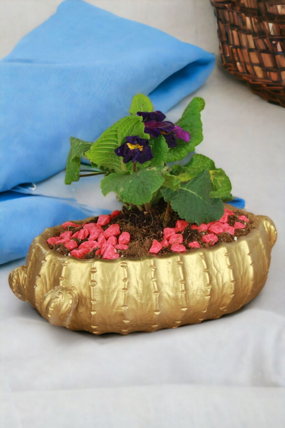 Altın thumbnail image