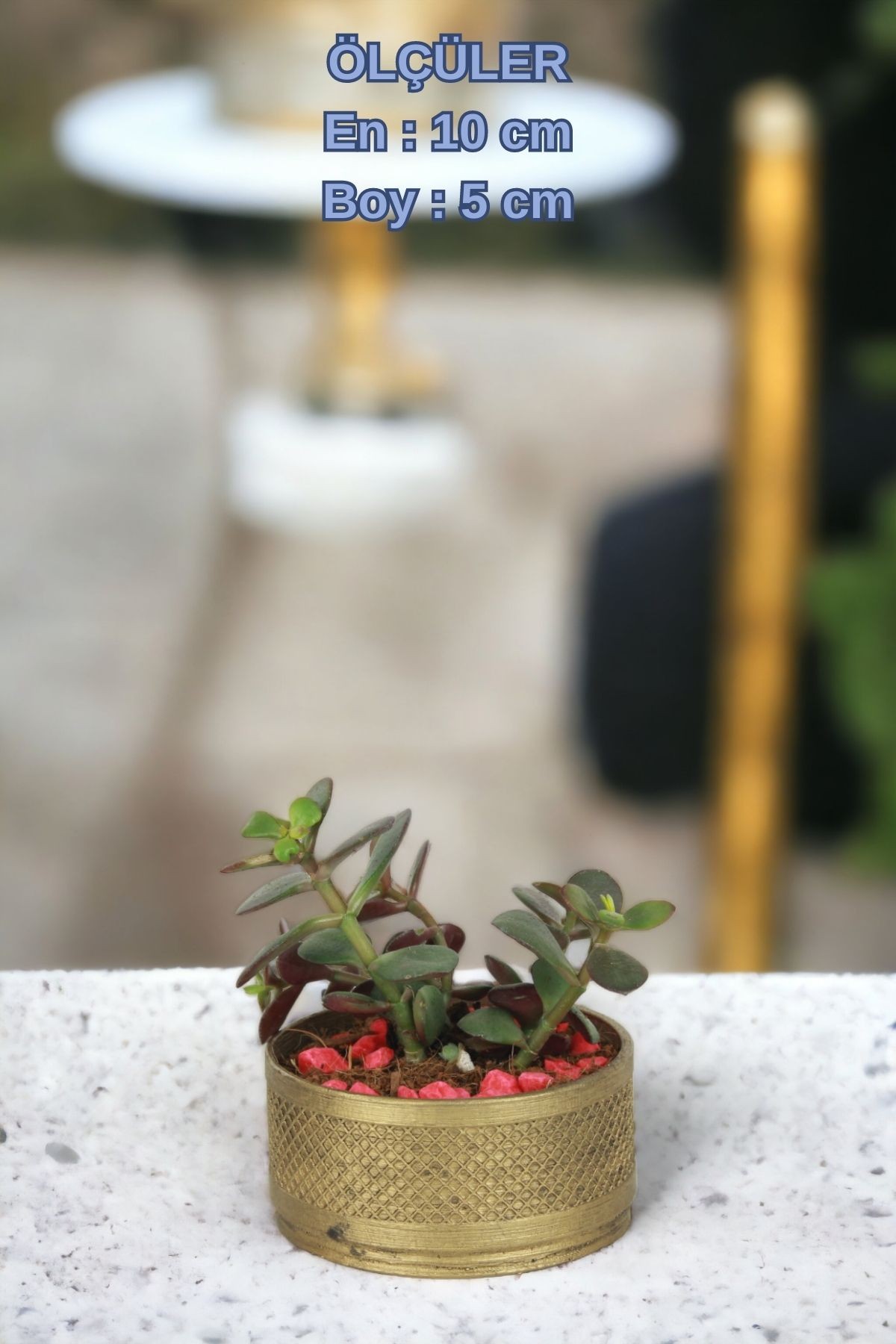 Siyah - Altın thumbnail image