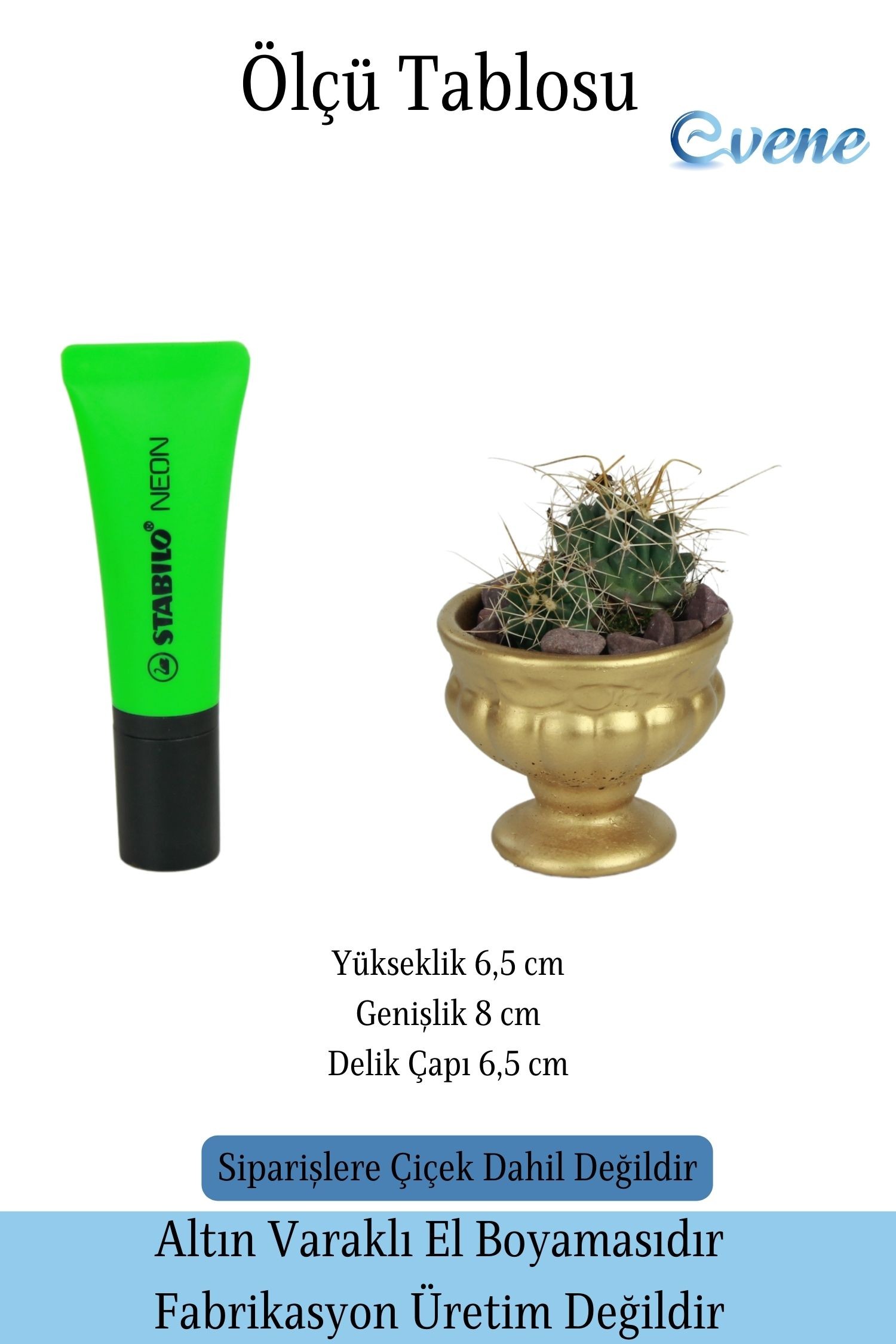 Kaktüs Saksısı Dekoratif Saksı Model 3