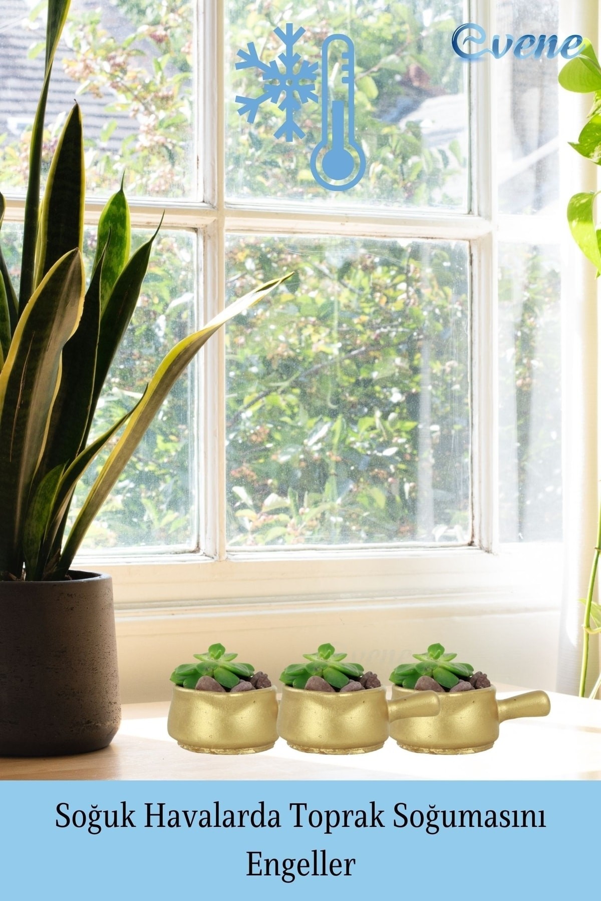 Mini Çiçek Saksı Küçük Sukulent Altın Kaktüs Saksısı 3'lü Set Mini Tava Model