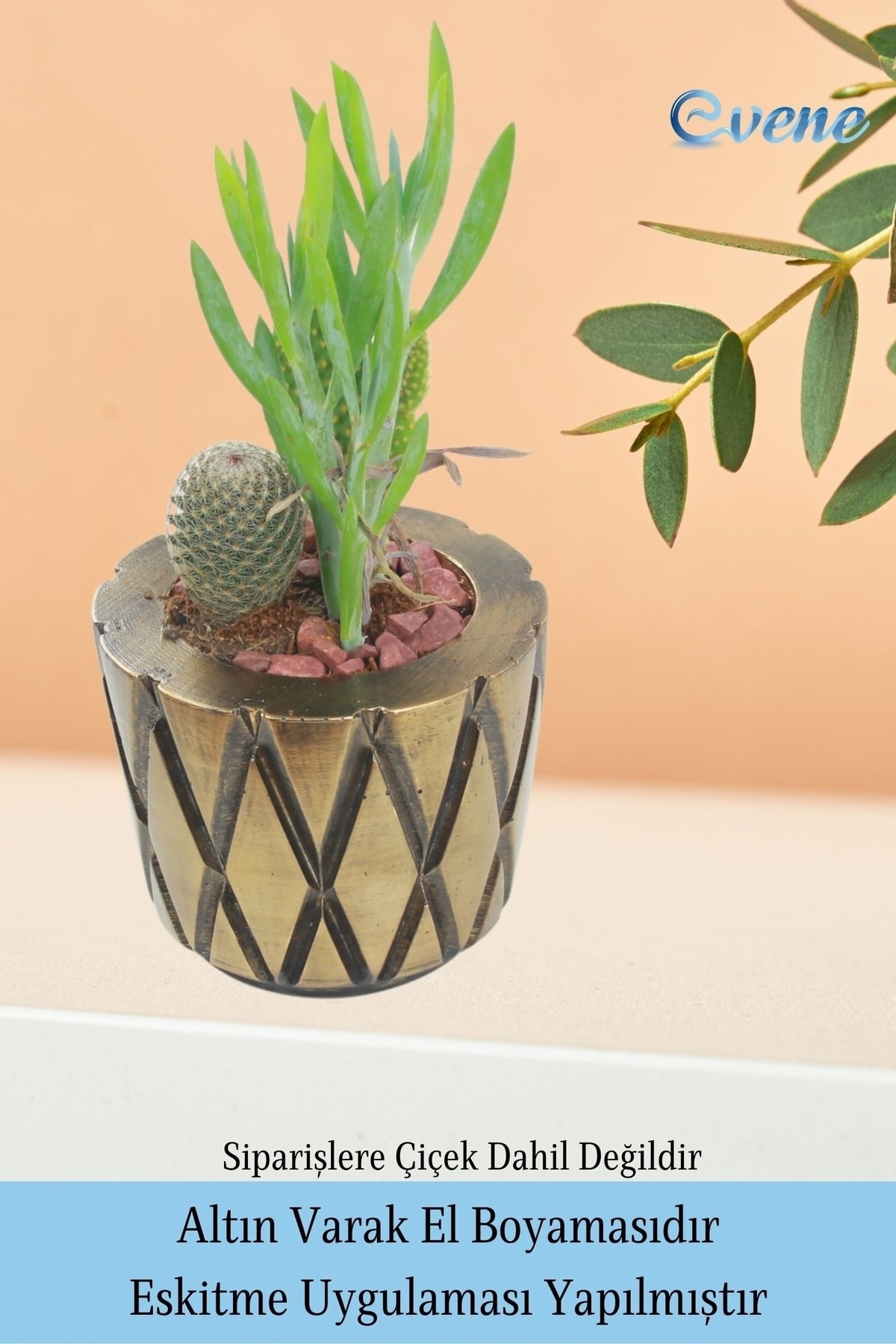 Saksı Çiçek Kaktüs Saksısı Lüx 11 Cm Altın Eskitme Varak Boyalı Baklava Desen Saksı Çiçeklik