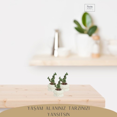 Stein Kohle Dekoratif Saksı Minik Kaktüs Saksısı Çiçekli Fiyonklu Model