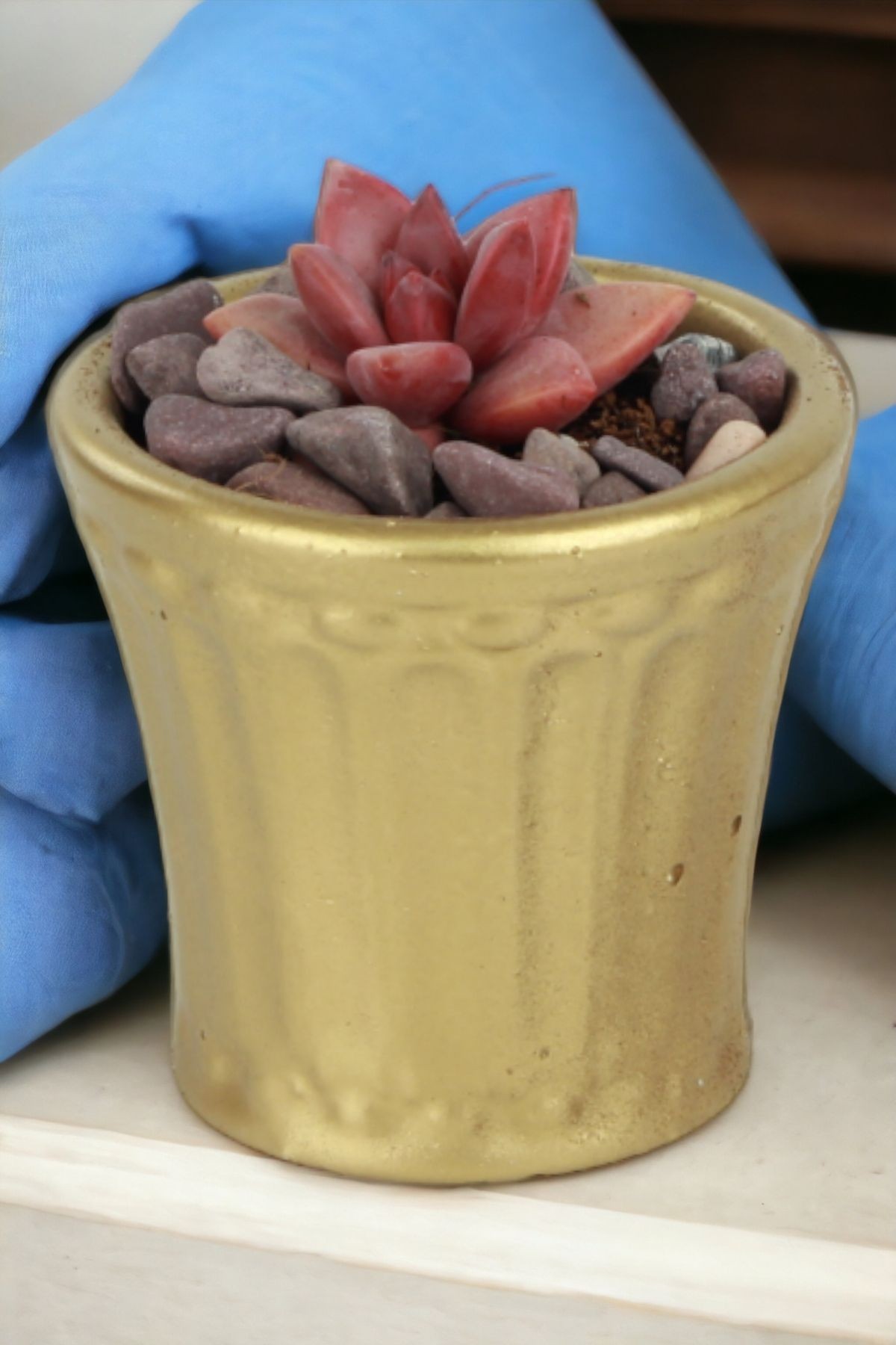 Altın thumbnail image
