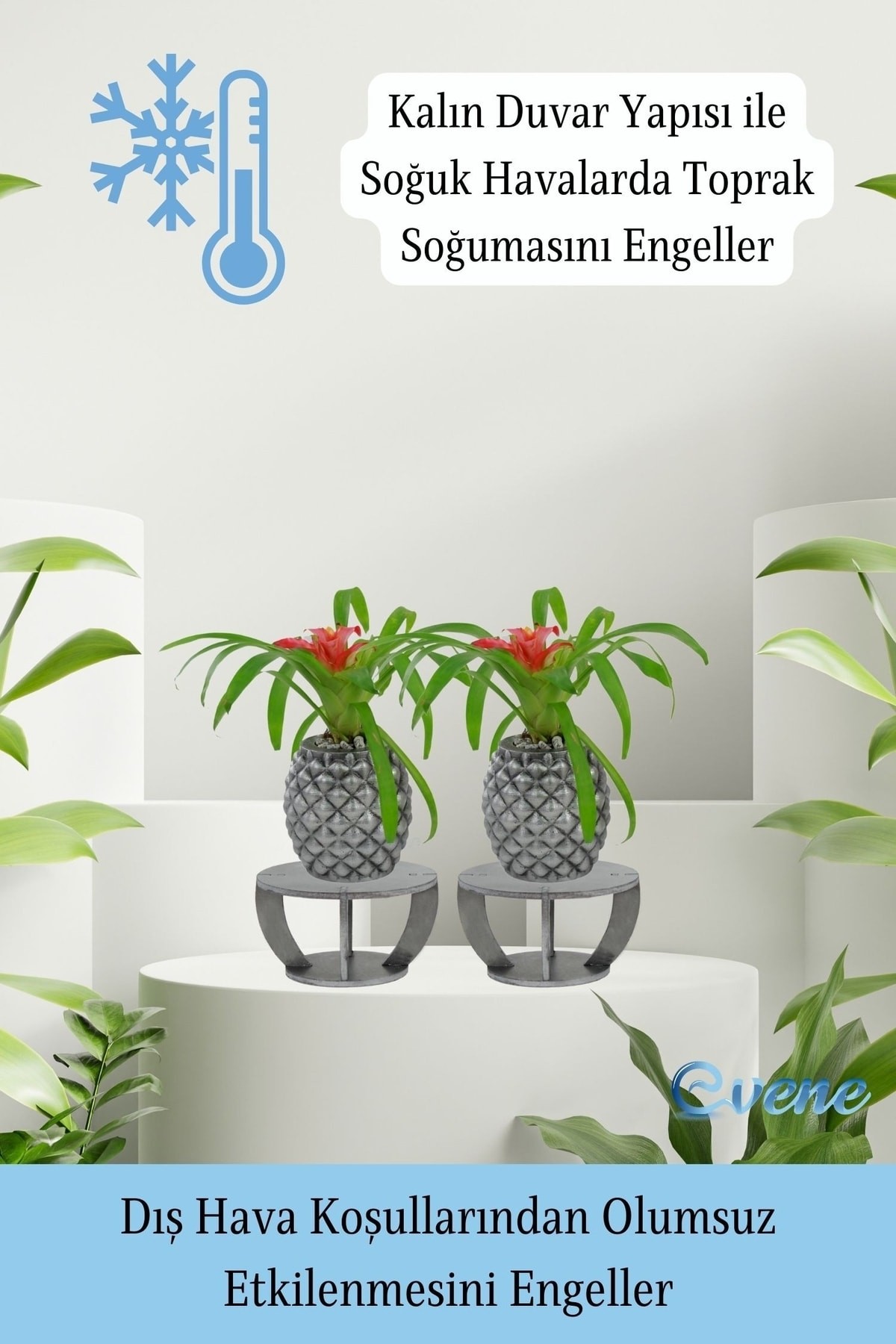 Ahşap Ayaklı Beton Saksı Büyük Boy Set 2 Adet Gümüş Varak Boyalı Eskitmeli Ananas Model