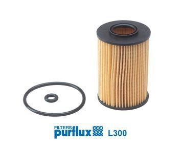 PURFLUX L300 | Yağ Filtresi W168-Vaneo Benzinli