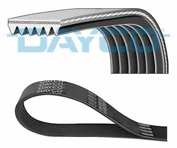DAYCO 6PK1264 | Kanallı Kayış Golf IV T4 Bora Leon Toledo A4 A5 A6 Q5 Cglc Cgld Cgle