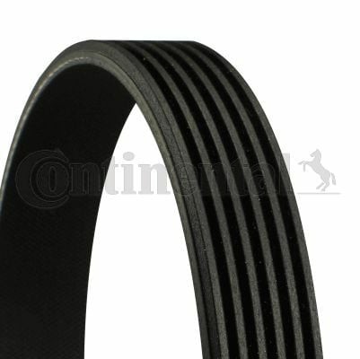 CONTINENTAL CTAM 6PK1054 | Kanallı Kayış Doblo 1.9 Dzl. JTD Mtr 01=-Astra H Vectra C (68818) / (6Pk1050)