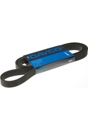 DAYCO 6PK1920 | Ford Focus 1998-2005 1.6 Zetec Se (Benzinli) V Kayısı