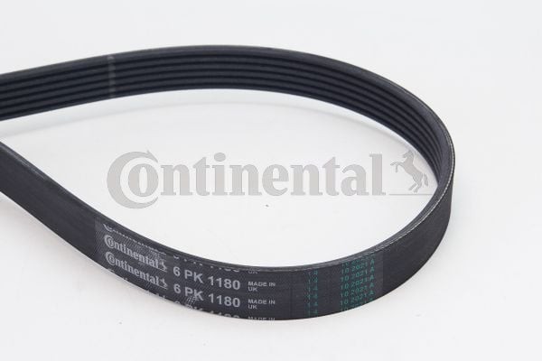 CONTINENTAL CTAM 6PK1180 | V Kayışı Doblo-Palio-Corsa.C 1.3D 16V-Ac *Z13dt*