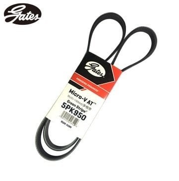 GATES 5PK948 | Bmw 3 Serisi E46 Kasa 318i M43 Klima Kayışı (5PK 950) (GAT.5PK950)