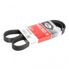 GATES 6PK1123 | Volkswagen Polo 2000-2002 Model Arası 1.4 AHW Motor V Kayışı