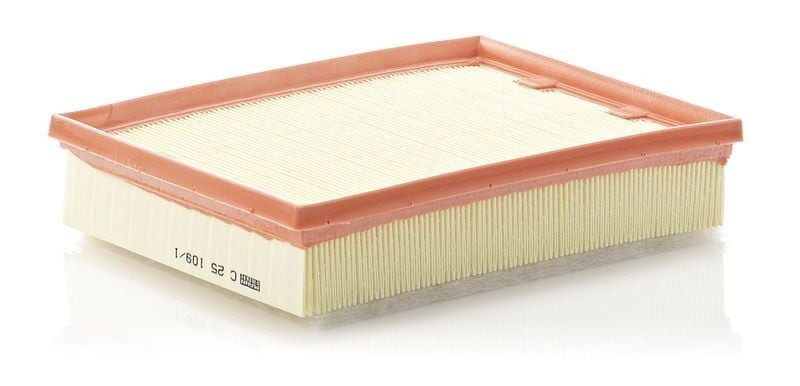 MANN C25109-1 | Hava Filtresi 08-Laguna.3-Latitude 1.5 DCI-2.0Dci