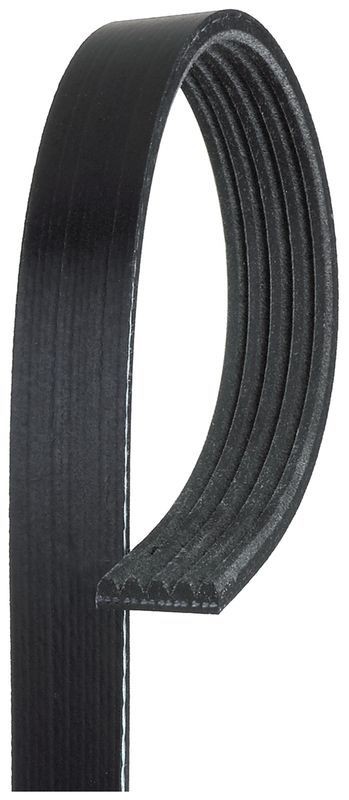 GATES 5PK1750 | V Kayışı 98-Clio-Mgn-Lgn.1.2-Log-Sdr-Slz 1.4-1.6