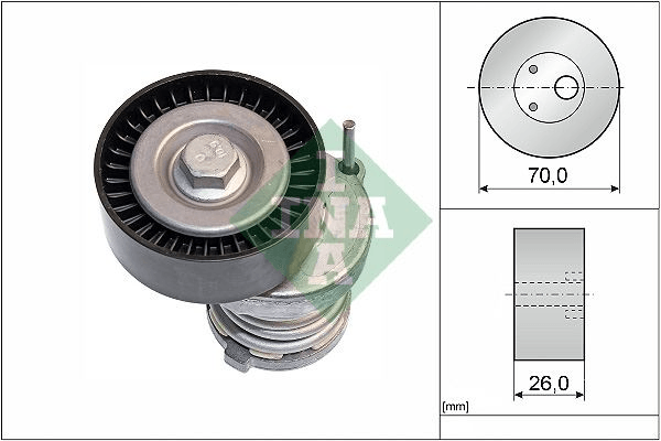 INA 534012320 | Seat Cordoba 1999-2009 Model Arası Motor V Kayışı Gergi Kütüğü