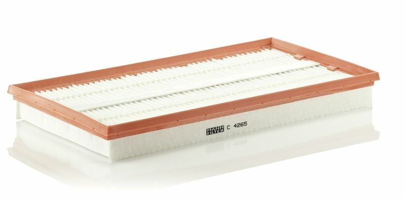 MANN C4265 | Hava Filtresi 04-Vito