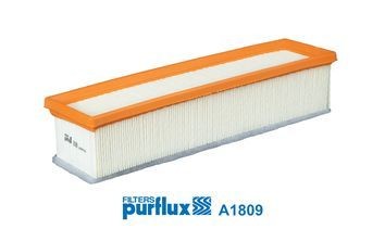 PURFLUX A1809 | Hava Filtresi 14-C-Seri (C180-C200)