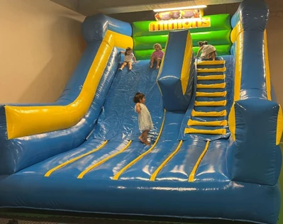 Minions Kaydırak 4x5 m2