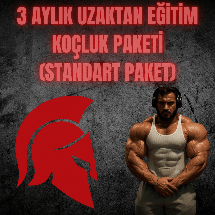 3 Aylık Standart Paket
