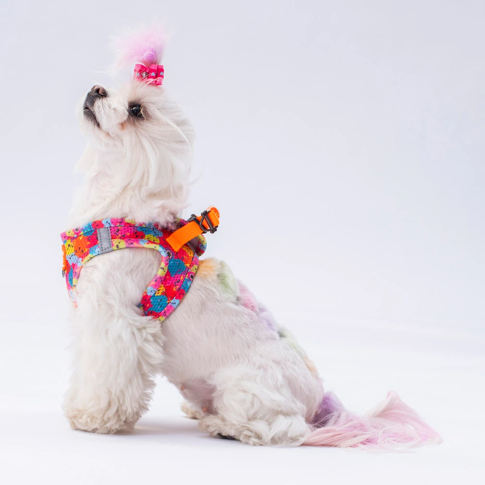 Pawstar Köpek Gögüs Tasması Air Mesh