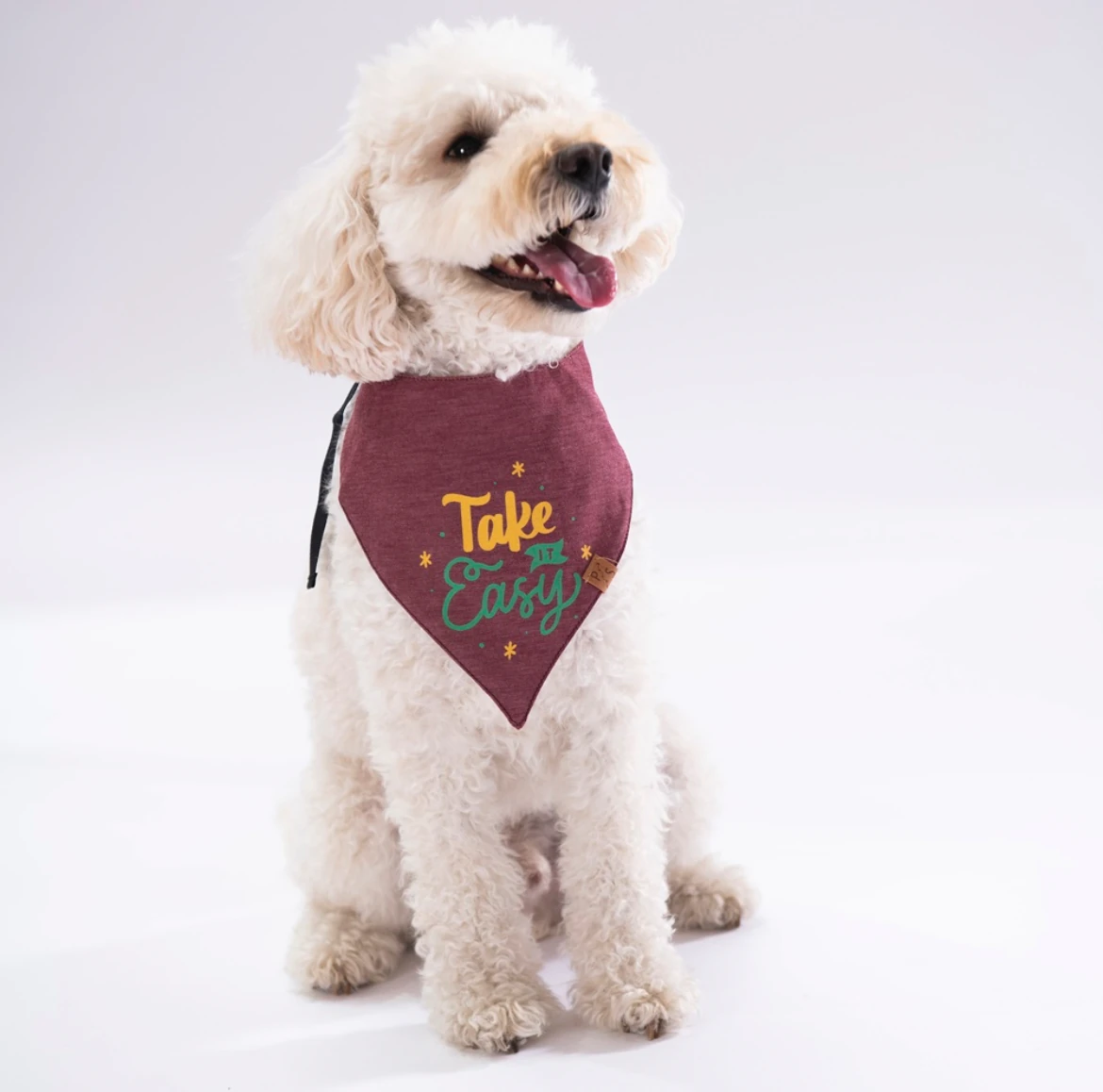 Pawstar Take İt Easy Köpek Fuları