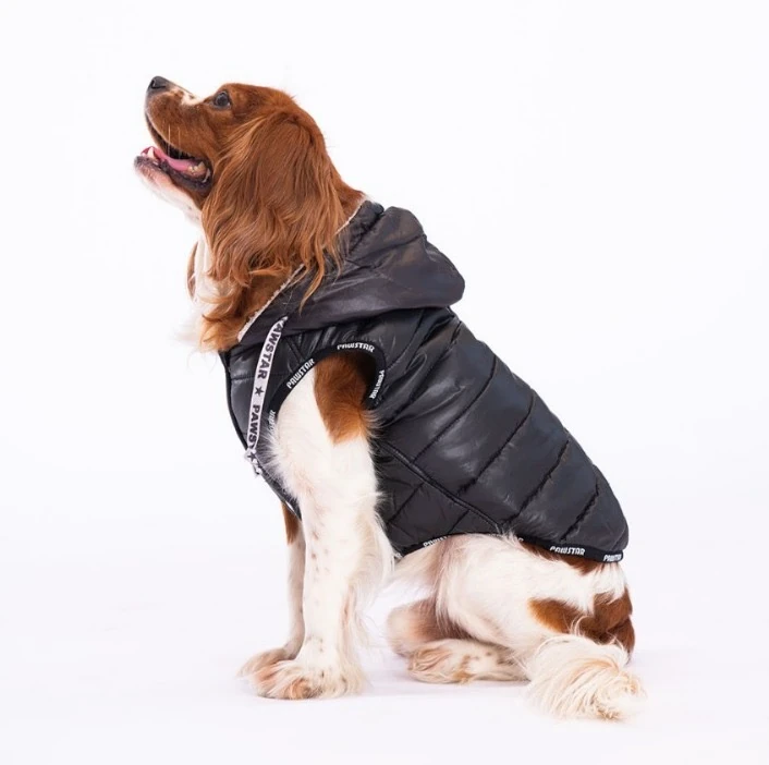 Pawstar Siyah Railway Yelek