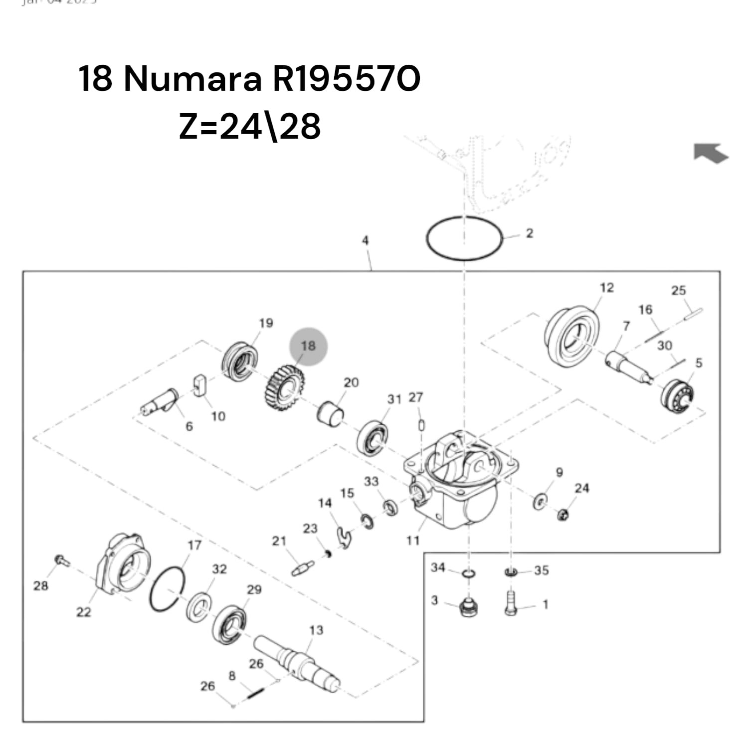 YAVRU ŞANZIMAN DİŞLİSİ Z:24/28 - R195570