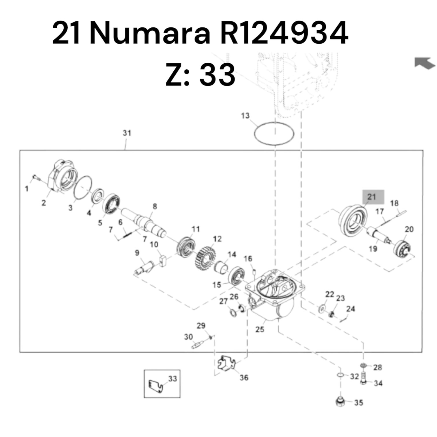 YAVRU ŞANZIMAN DİŞLİSİ Z: 33 - R124934