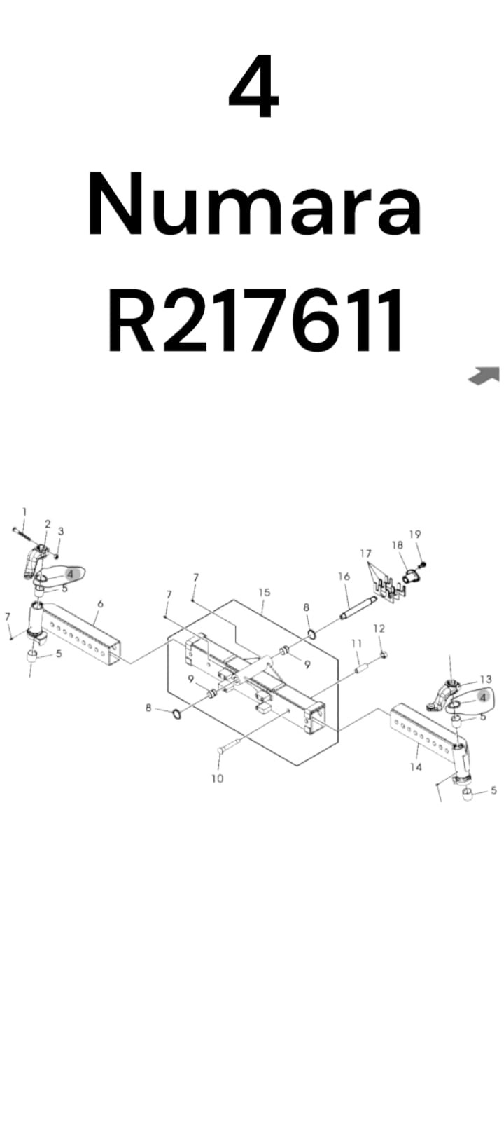 ÖN AKSON KEÇESİ - R217611