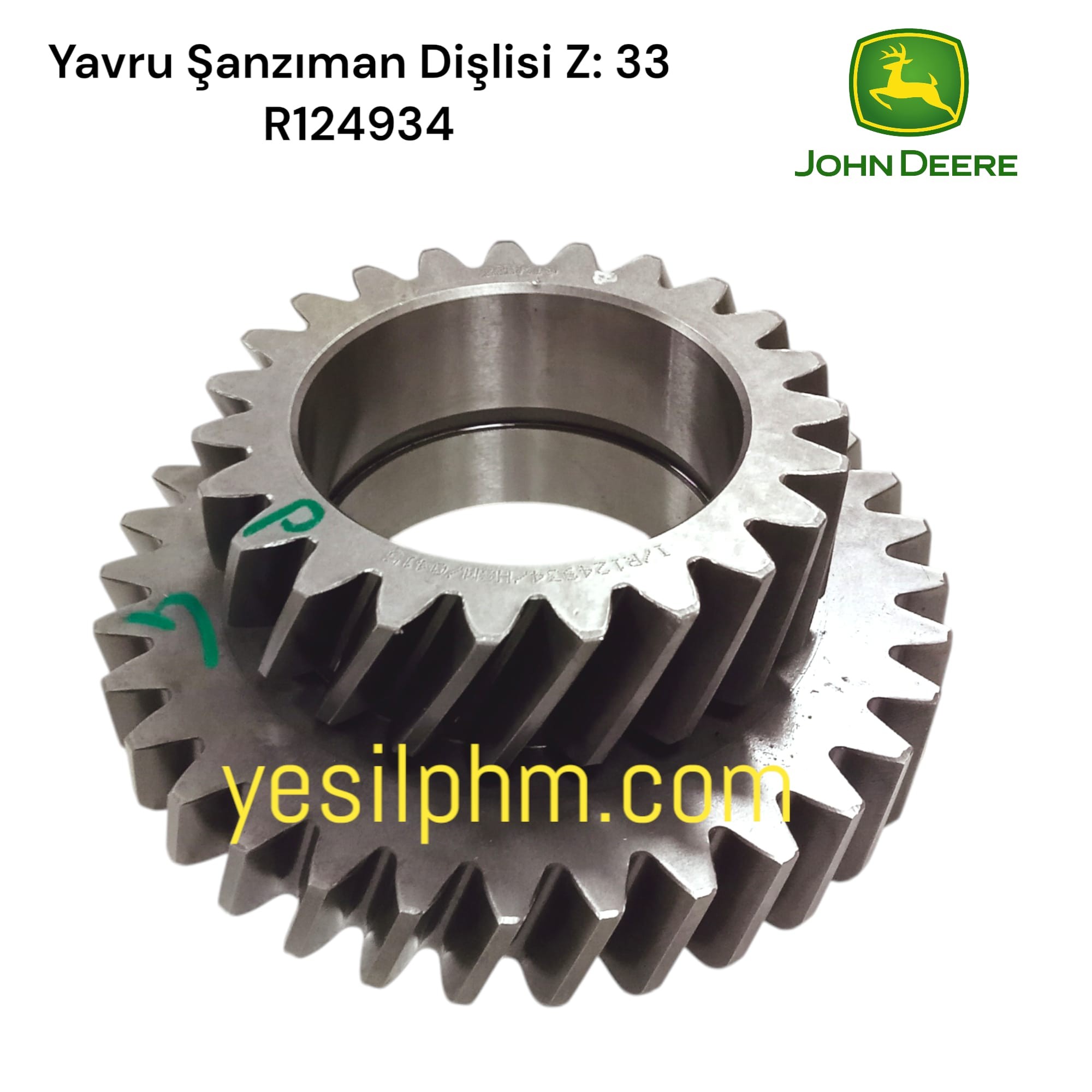 YAVRU ŞANZIMAN DİŞLİSİ Z: 33 - R124934