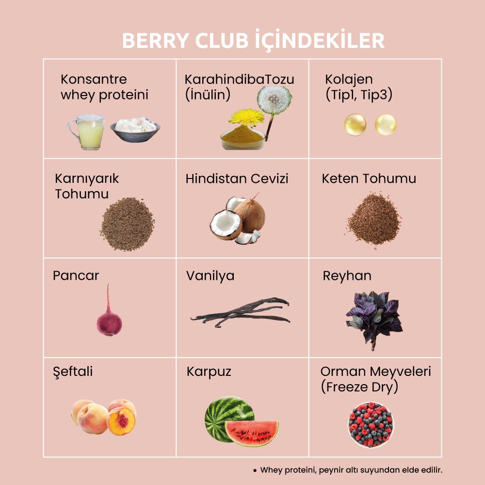 Berry Club - Orman Meyveli Öğün Tozu