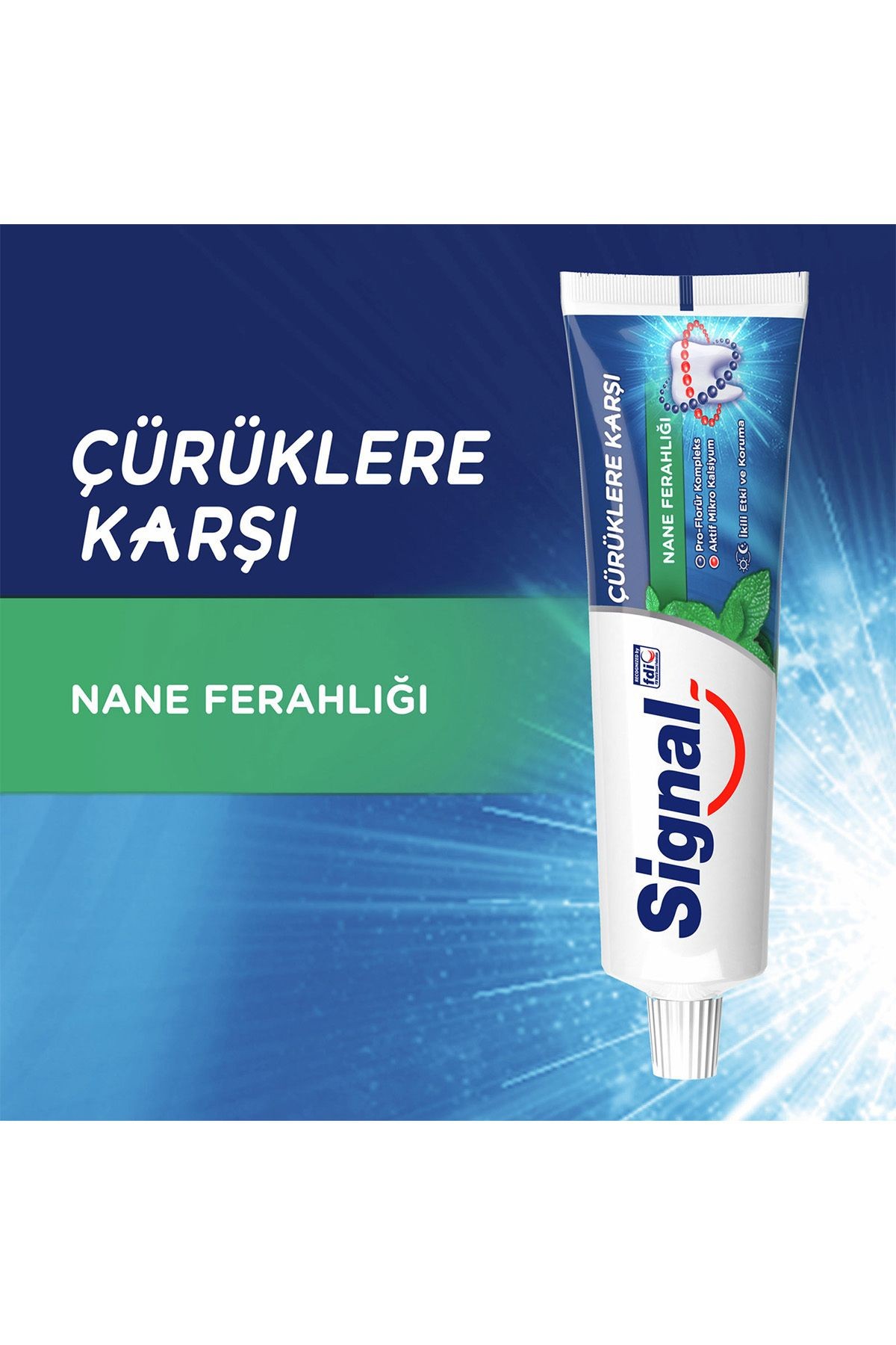 Diş Macunu Çürüklere Karşı Nane Ferahlığı 100 ml X6