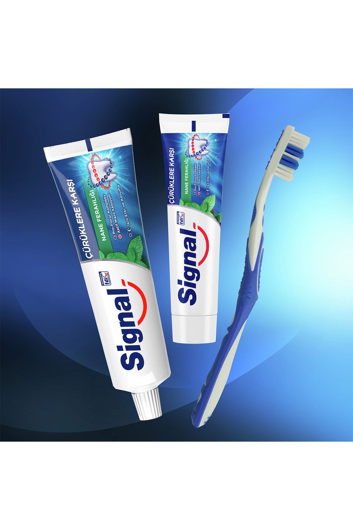 Diş Macunu Çürüklere Karşı Nane Ferahlığı 100 ml X6