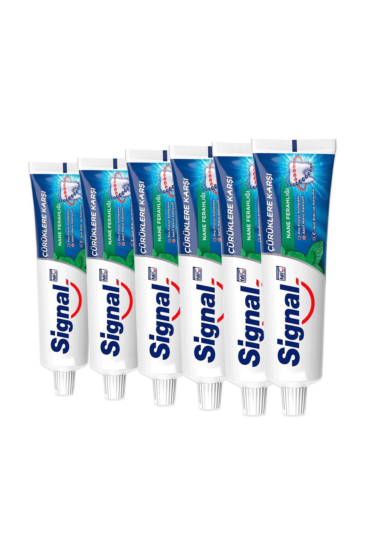 Diş Macunu Çürüklere Karşı Nane Ferahlığı 100 ml X6