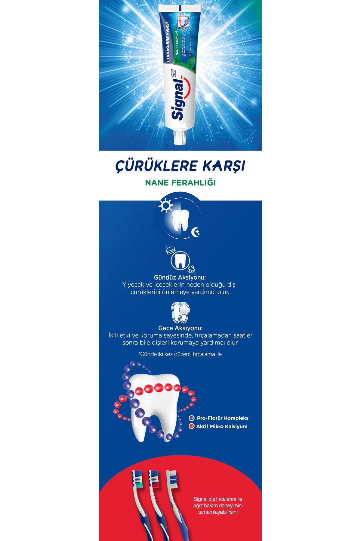 Diş Macunu Çürüklere Karşı Nane Ferahlığı 50 ml X4 Adet