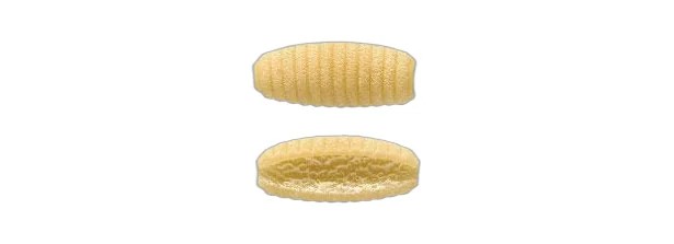 Rummo Gnocchetti Sardi No 63 500 Gr