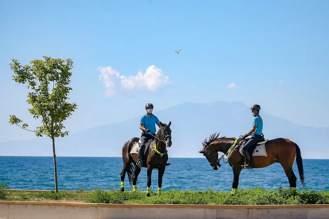 Atlı Jandarma Nasıl Olunur? Eğitimleri Nasıl?