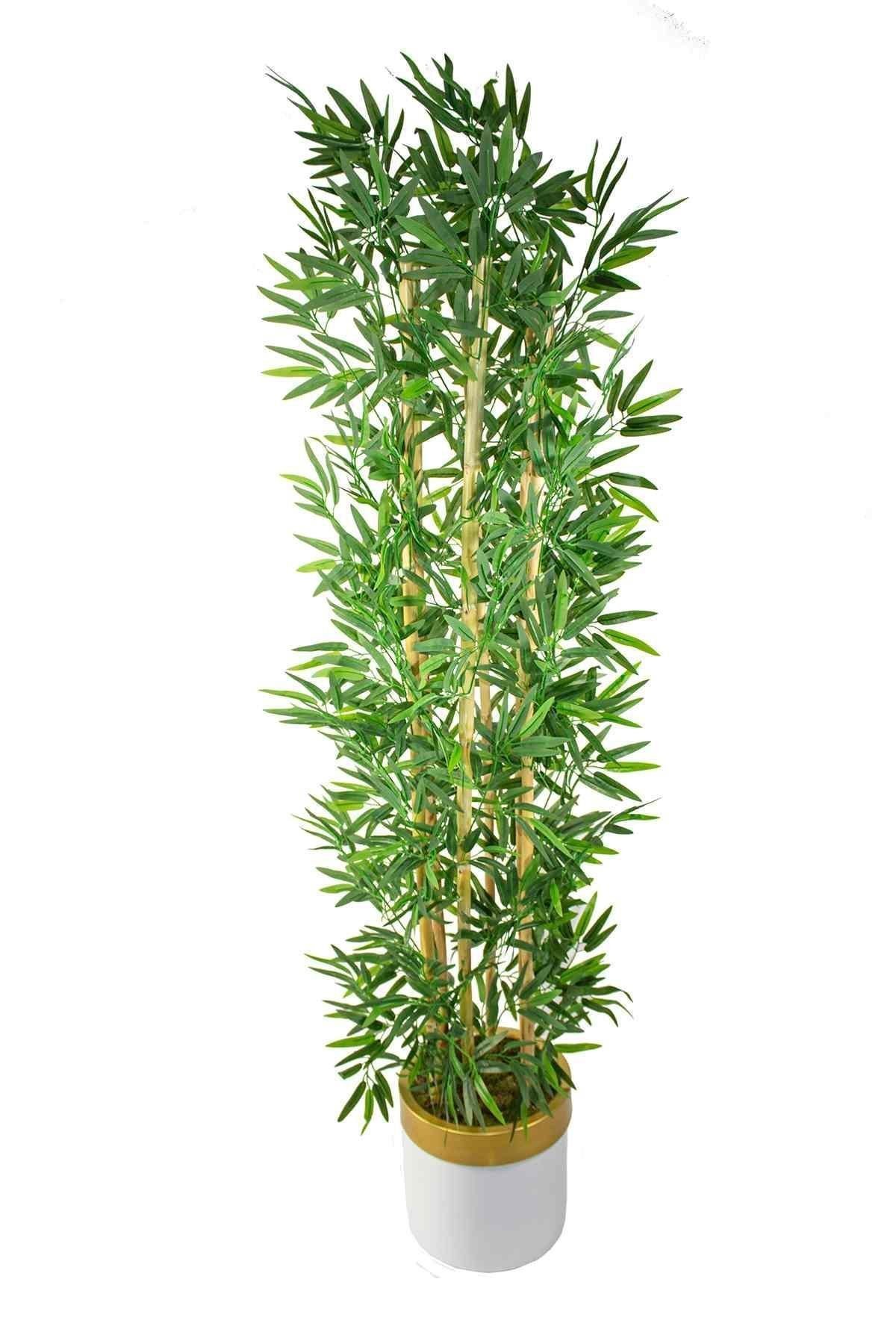 Yapay Bambu Ağacı 185 Cm Beyaz Gold Metal Saksı