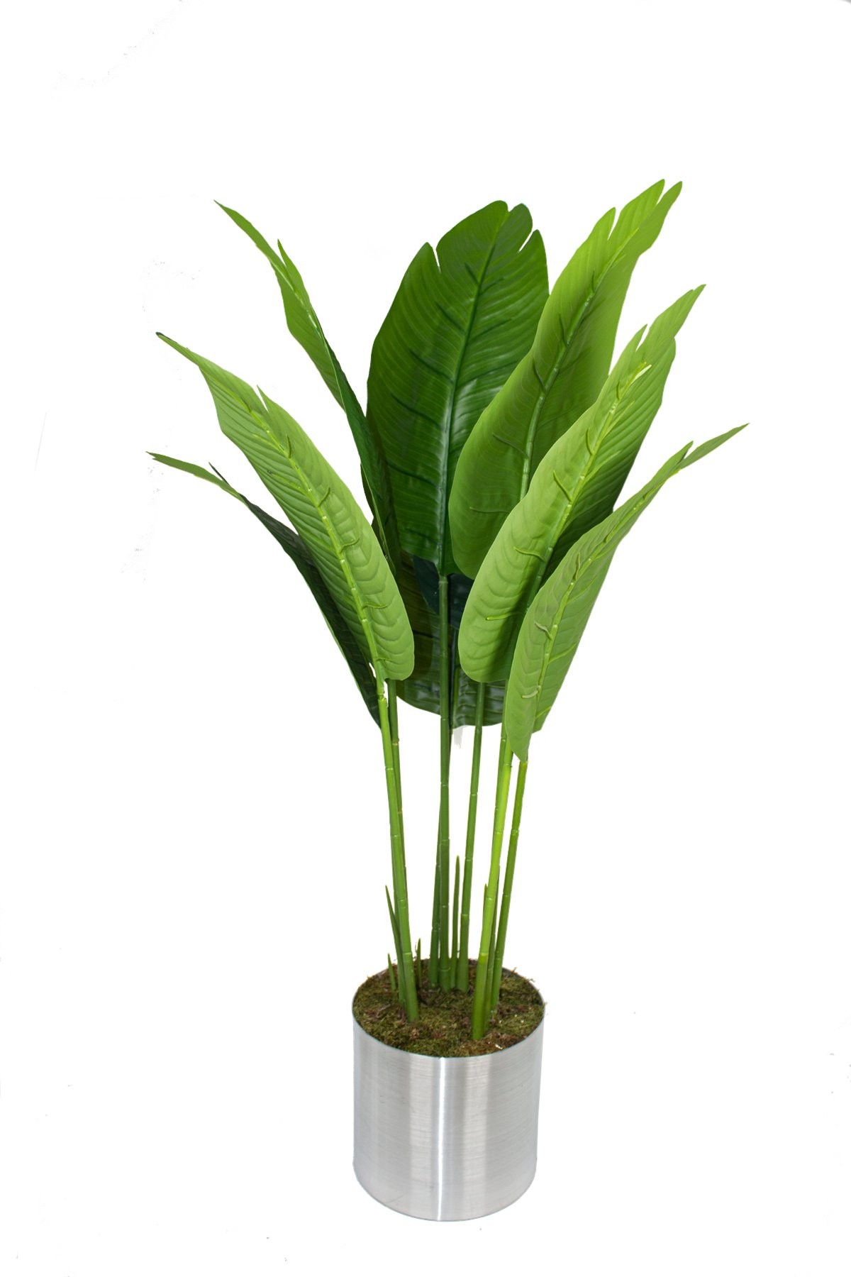Yapay Muz Ağacı 120 Cm Geniş Yapraklı
