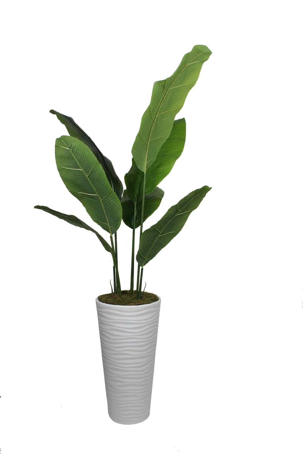 Yapay Ağaç Muz 160 Cm 7 Dal Konik Saksı
