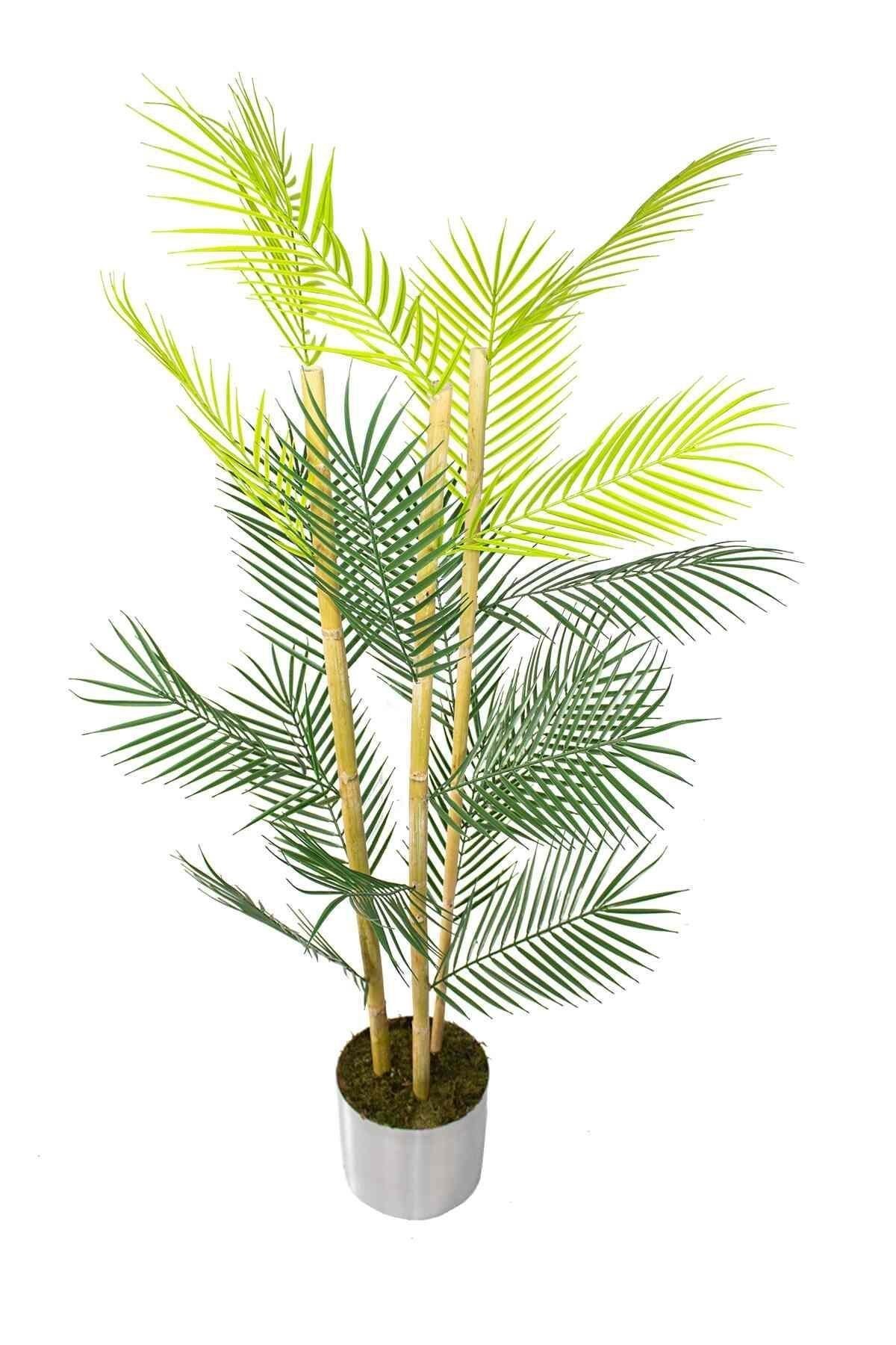 Yapay Areka Ağacı Bambu Gövdeli 160 cm
