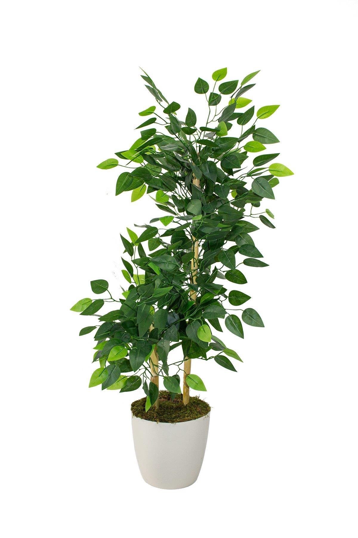 Yapay Benjamin Ağacı Bambu Gövdeli 100 cm