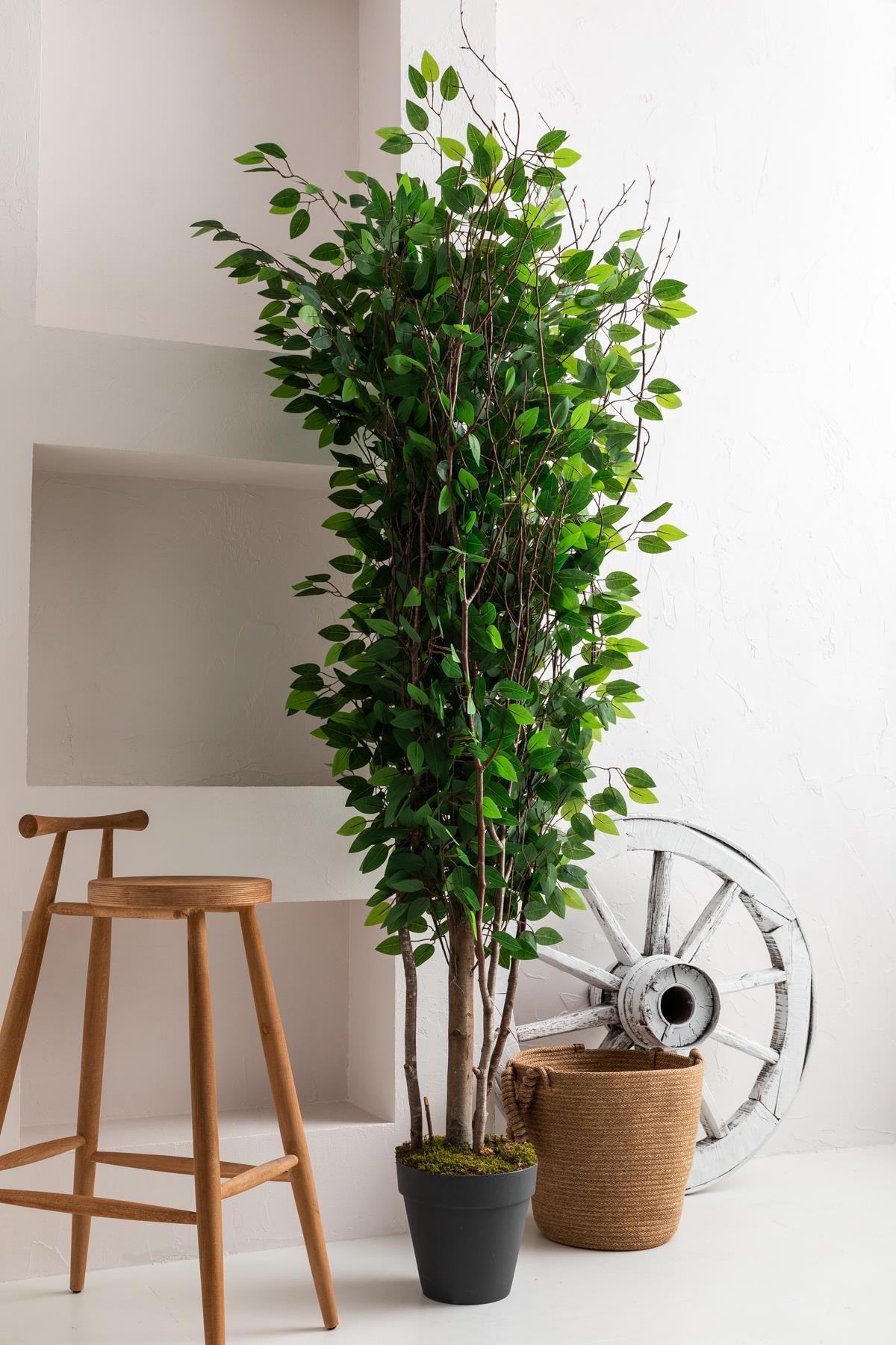 Yapay Ağaç 200 cm Benjamin 144 dal (Yoğun